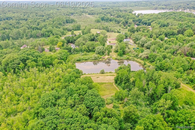 5180 Hillsboro Rd, Davisburg, MI 48350 - aerial view of a nearby body of water and a heavily wooded area