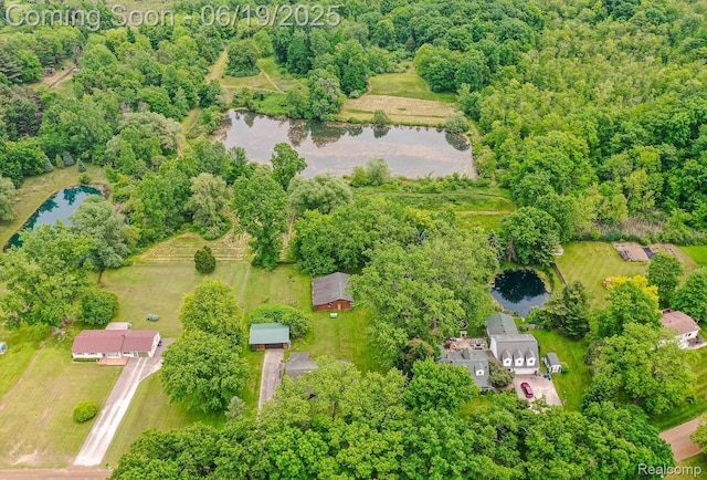 5180 Hillsboro Rd, Davisburg, MI 48350 - bird's eye view of a nearby body of water
