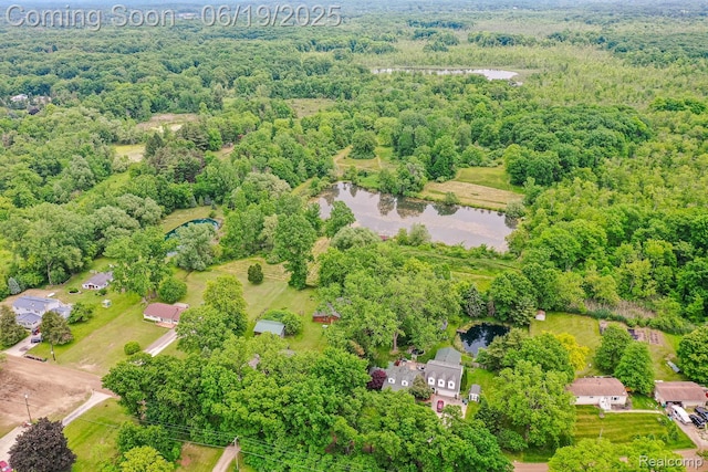 5180 Hillsboro Rd, Davisburg, MI 48350 - aerial view of a heavily wooded area and a nearby body of water