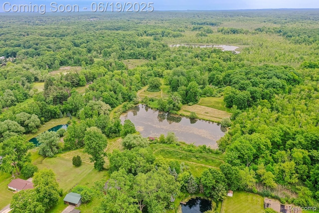 5180 Hillsboro Rd, Davisburg, MI 48350 - aerial view of a forest and a large body of water