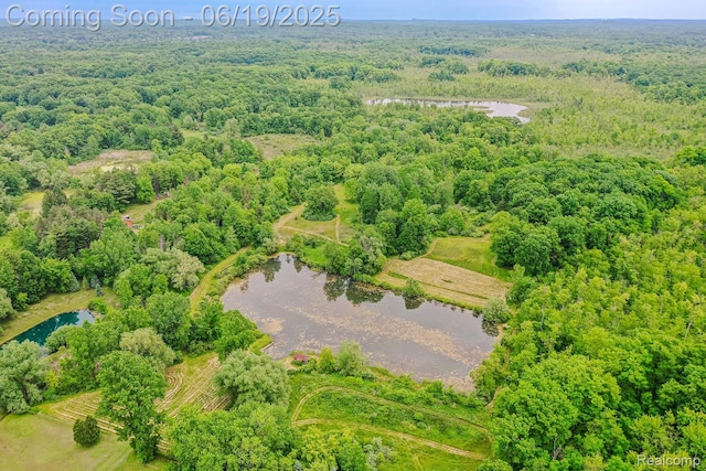 5180 Hillsboro Rd, Davisburg, MI 48350 - aerial view of a nearby body of water and a heavily wooded area