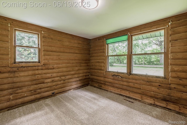 5180 Hillsboro Rd, Davisburg, MI 48350 - carpeted empty room with rustic walls and plenty of natural light