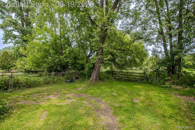 5180 Hillsboro Rd, Davisburg, MI 48350 - view of yard