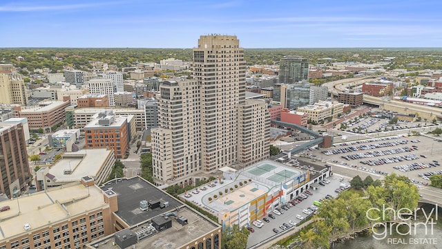 60 Campau Cir NW Unit 2308, Grand Rapids, MI 49503 - city view