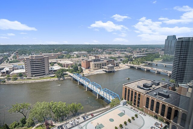 60 Campau Cir NW Unit 2308, Grand Rapids, MI 49503 - view of urban area featuring a notable bridge and a large body of water