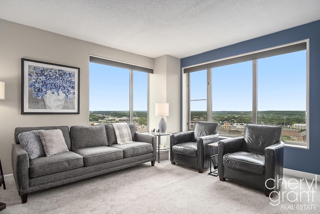 60 Campau Cir NW Unit 2308, Grand Rapids, MI 49503 - carpeted living area featuring plenty of natural light and a textured ceiling