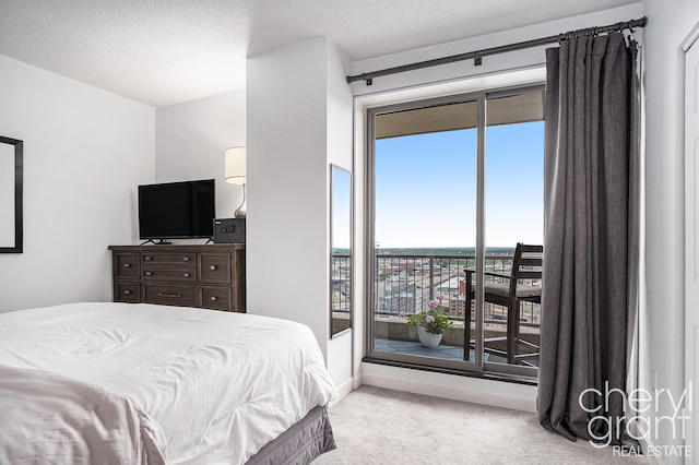 60 Campau Cir NW Unit 2308, Grand Rapids, MI 49503 - carpeted bedroom featuring access to outside