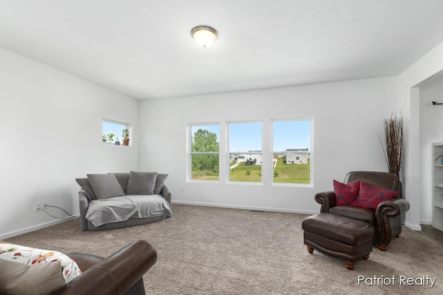 490 Oak Meadow Dr, Middleville, MI 49333 - photo 12