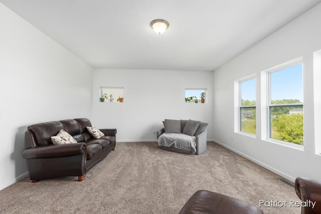 490 Oak Meadow Dr, Middleville, MI 49333 - photo 11