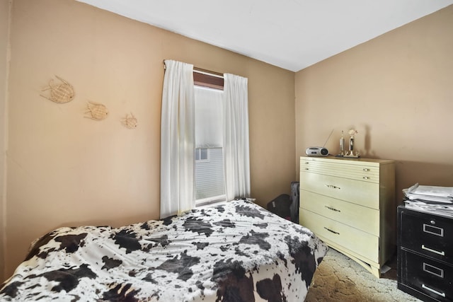 2016 Pringle Ave, Jackson, MI 49203 - view of carpeted bedroom