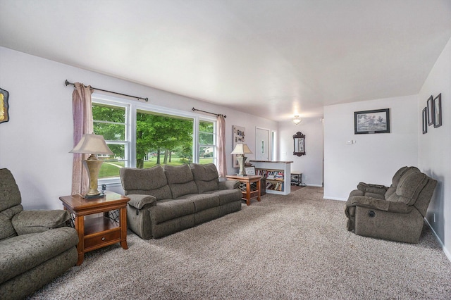 518 Hill Rd, Marshall, MI 49068 - carpeted living area with baseboards