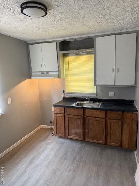 19495 Lindsay St, Detroit, MI 48235 - kitchen with a sink, light wood-type flooring, under cabinet range hood, a textured ceiling, and dark countertops
