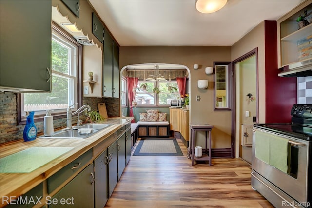 3418 Gratiot Ave, Flint, MI 48503 - kitchen featuring stainless steel electric stove, healthy amount of natural light, backsplash, and light wood-style floors
