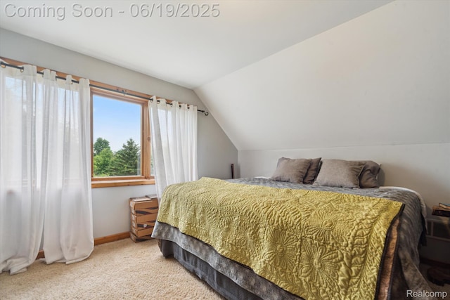 9808 Crofoot Rd, Fowlerville, MI 48836 - bedroom featuring vaulted ceiling and carpet flooring