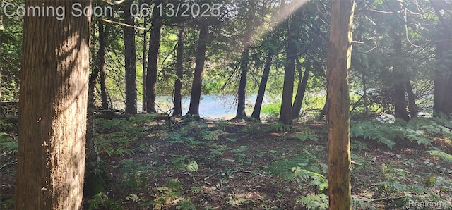 7397 Tammy Dr, Wolverine, MI 49749