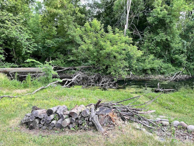 318 E N St, Standish, MI 48658 - view of yard with a wooded view
