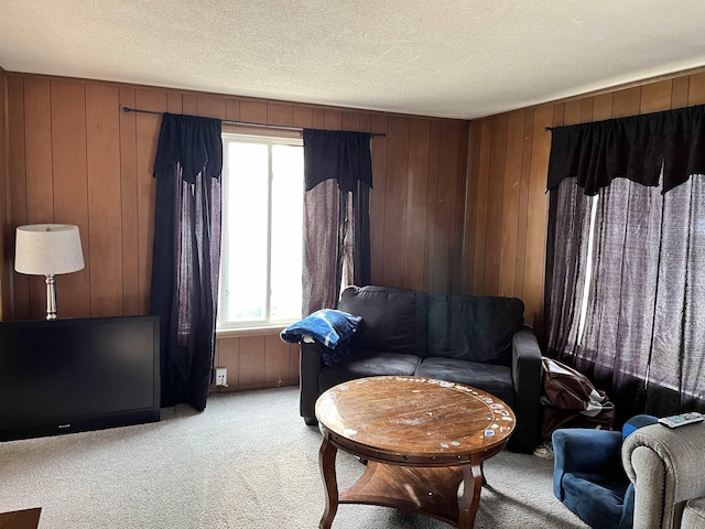 318 E N St, Standish, MI 48658 - living room with light colored carpet, wood walls, and a textured ceiling