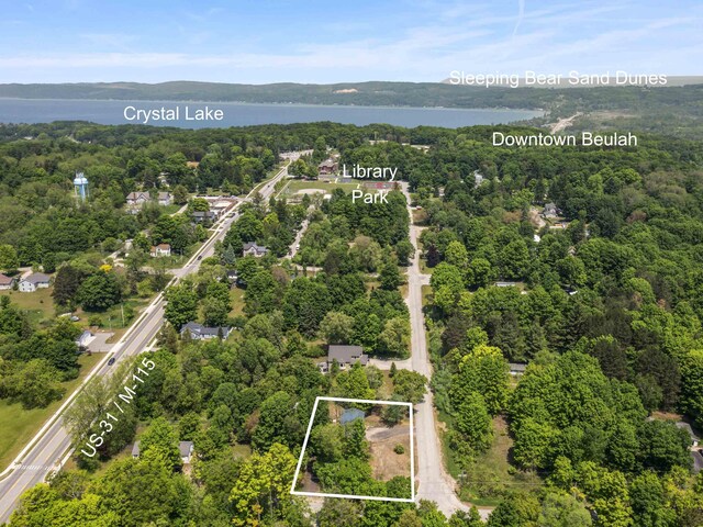 7050 River St, Benzonia, MI 49616
