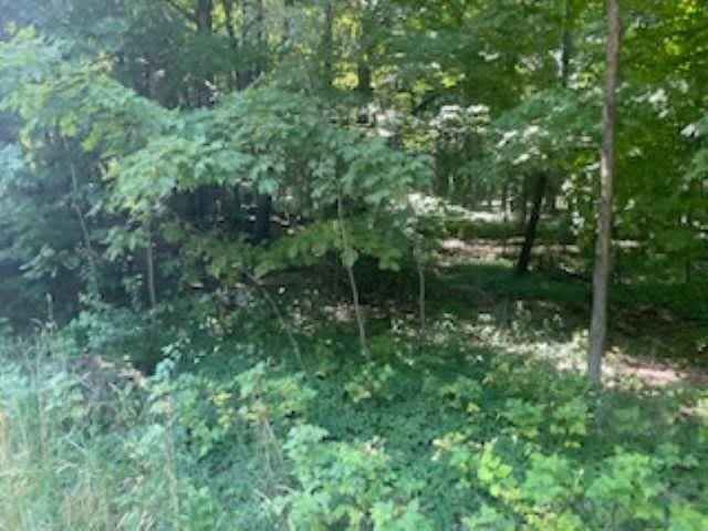 1722 S Cherry Blossom Ln, Suttons Bay, MI 49682