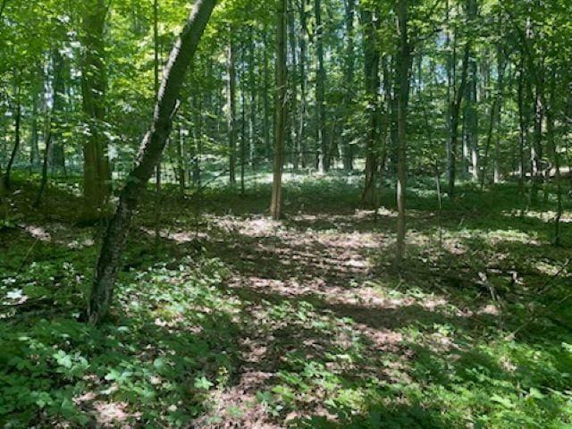 1722 S Cherry Blossom Ln, Suttons Bay, MI 49682