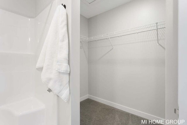 13654 Signature Dr, Holland, MI 49424 - bathroom with baseboards, a shower, and a spacious closet