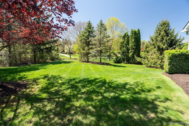 900 Indianwood Rd, Lake Orion, MI 48362 - view of grassy yard