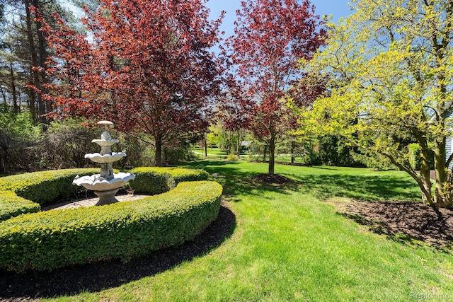 900 Indianwood Rd, Lake Orion, MI 48362 - view of green lawn