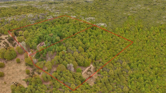 3284 N Flynn Rd, Luther, MI 49656 - aerial overview of property's location featuring a forest and property parcel outlined