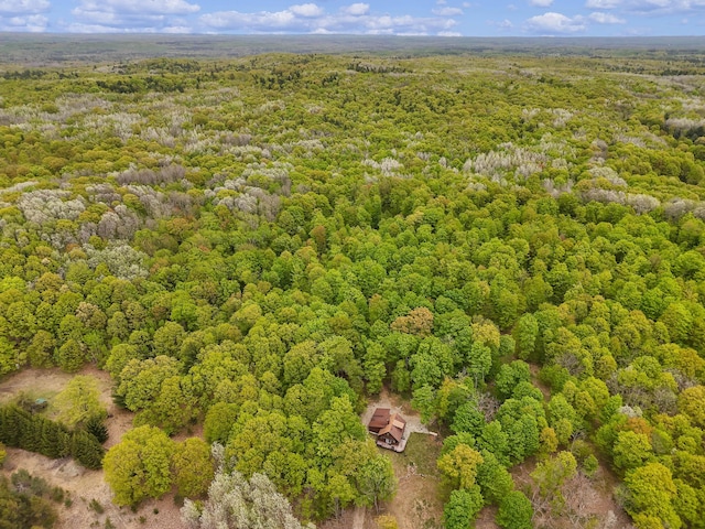 3284 N Flynn Rd, Luther, MI 49656 - aerial view of a heavily wooded area