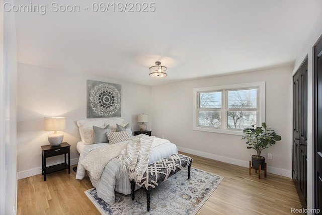54232 Mound Rd, Shelby Twp, MI 48316 - bedroom featuring light wood finished floors