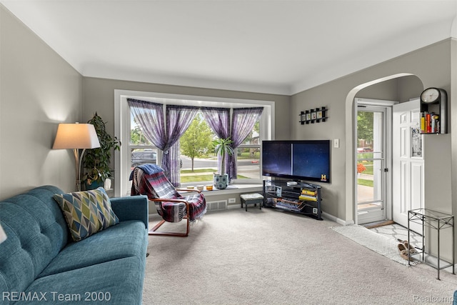 18155 Audette St, Dearborn, MI 48124 - living area featuring healthy amount of natural light, carpet flooring, arched walkways, and baseboards