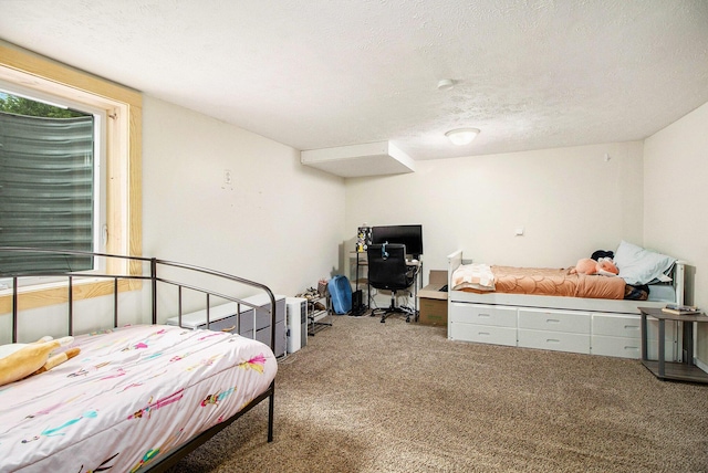 46915 Anthony St, Paw Paw, MI 49079 - carpeted bedroom featuring a textured ceiling and a desk