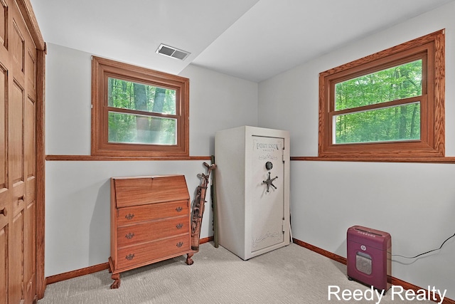 13227 Beckwith Dr NE, Lowell, MI 49331 - photo 17