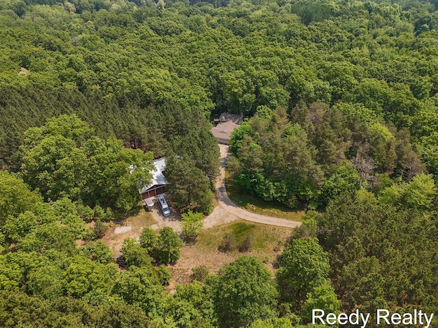 13227 Beckwith Dr NE, Lowell, MI 49331 - photo 4