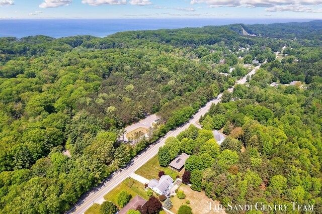 6372 Lake Harbor Rd, Norton Shores, MI 49441 - aerial view of a forest