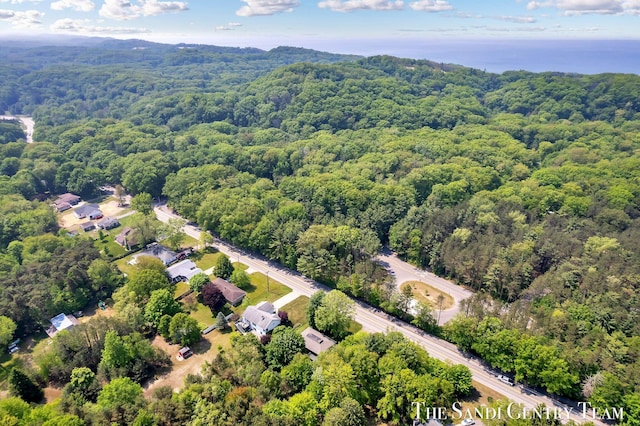 6372 Lake Harbor Rd, Norton Shores, MI 49441 - bird's eye view of a forest