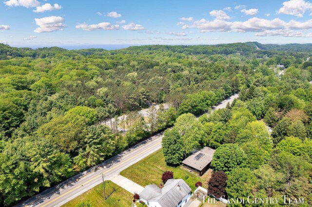 6372 Lake Harbor Rd, Norton Shores, MI 49441 - bird's eye view of a forest