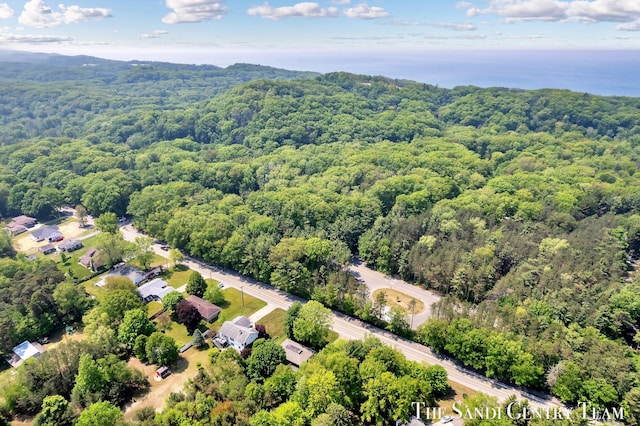 6372 Lake Harbor Rd, Norton Shores, MI 49441 - bird's eye view of a forest