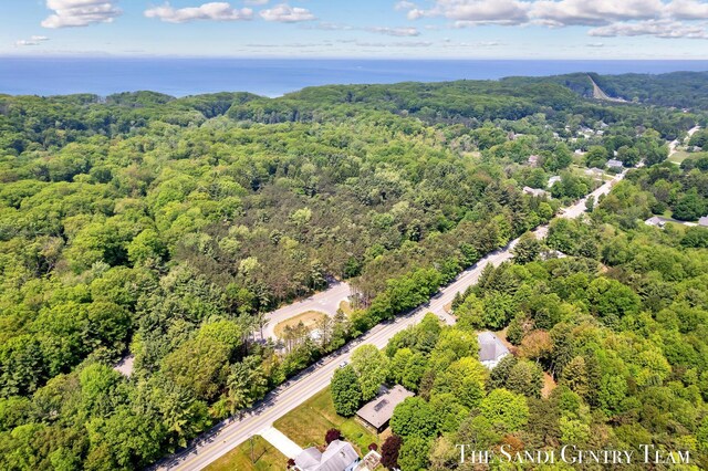 6372 Lake Harbor Rd, Norton Shores, MI 49441 - aerial view of a heavily wooded area