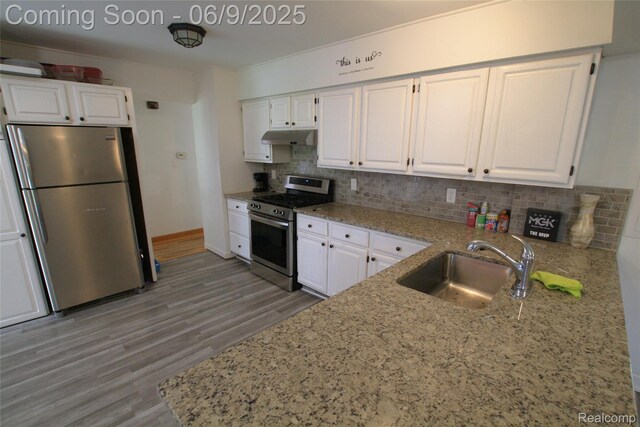 6325 Clarkston Rd, Clarkston, MI 48346 - kitchen featuring appliances with stainless steel finishes, under cabinet range hood, light stone counters, and white cabinetry