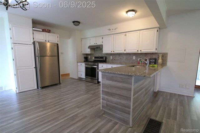 6325 Clarkston Rd, Clarkston, MI 48346 - kitchen with appliances with stainless steel finishes, under cabinet range hood, a peninsula, light stone countertops, and a sink