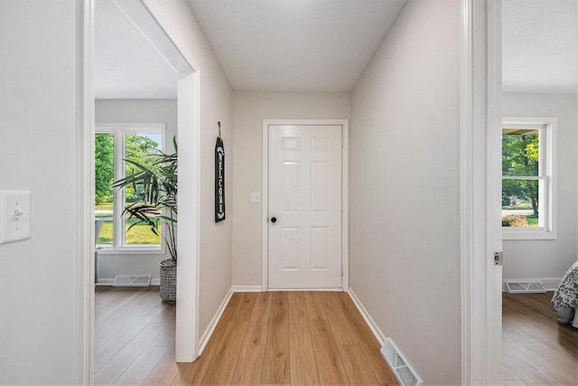 15878 New Holland St, Holland, MI 49424 - corridor with light wood-type flooring and healthy amount of natural light