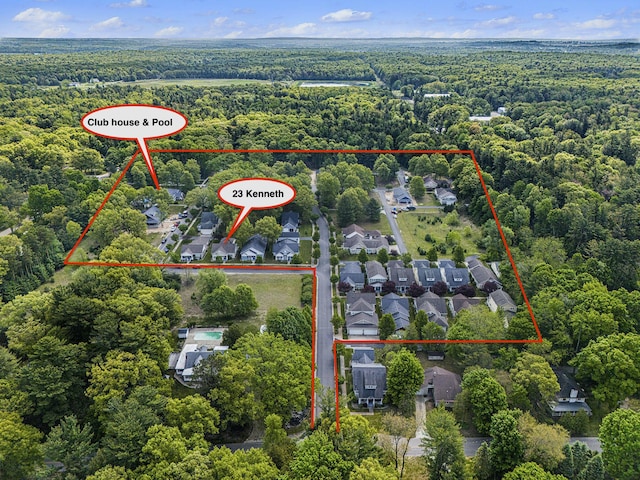 23 Kenneth St, Pentwater, MI 49449 - aerial view of property's location with a forest and property parcel outlined