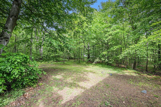 9820 90th Ave, Mecosta, MI 49332 - photo 25