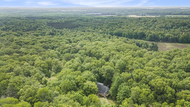9820 90th Ave, Mecosta, MI 49332 - photo 28