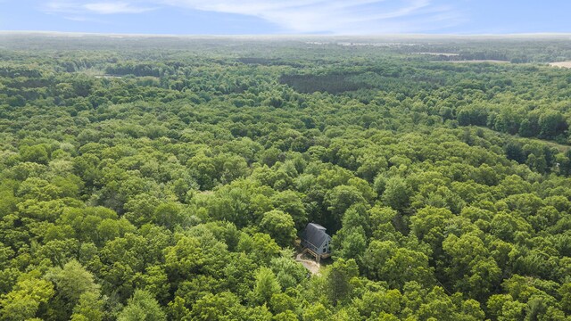 9820 90th Ave, Mecosta, MI 49332 - photo 29