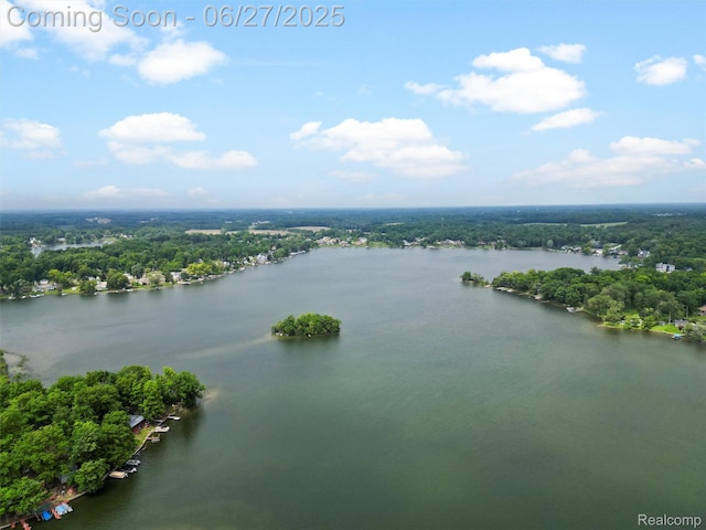 11474 Clairmont Dr, Fenton, MI 48430 - aerial view of a nearby body of water and a heavily wooded area