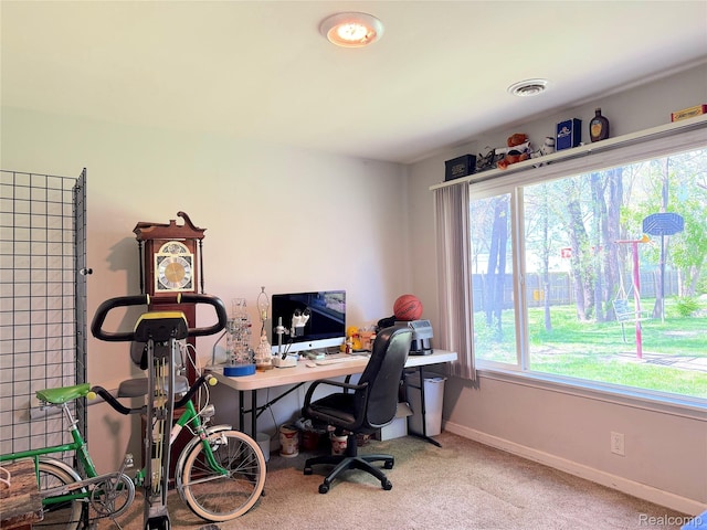 22985 Iroquois St, Clinton Township, MI 48036 - home office with carpet flooring and baseboards
