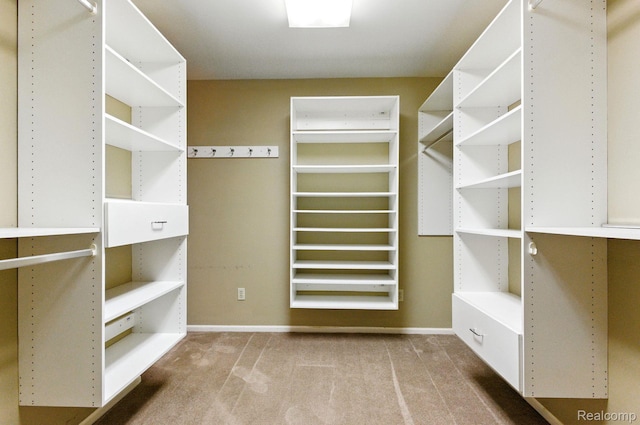 3680 Miller Rd, Ann Arbor, MI 48103 - walk in closet featuring carpet flooring