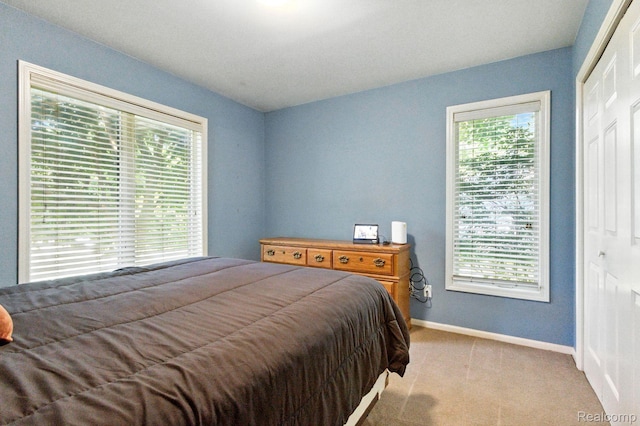 3680 Miller Rd, Ann Arbor, MI 48103 - bedroom with carpet flooring, multiple windows, and a closet